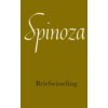 Briefwisseling - Werken van B. de Spinoza