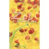 Zoli