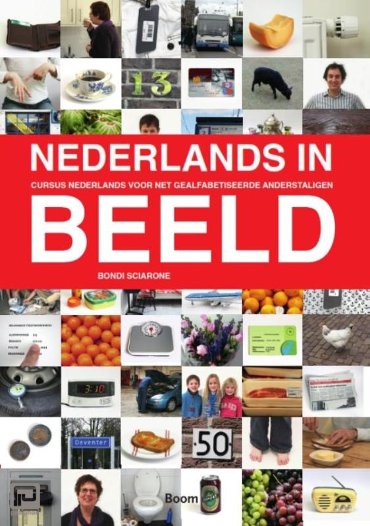 Nederlands in beeld