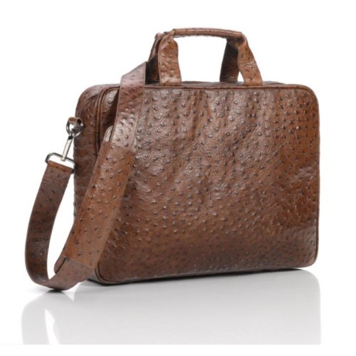 Succes Laptoptas 17 Struzzo Bruin succes kopen in de aanbieding Succes Laptoptas 17 Struzzo Bruin succes kopen in de aanbieding