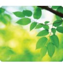 Muismat Fellowes natuur collectie bladeren 228x203mm
