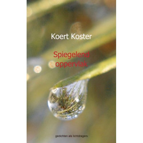 Mijnbestseller Spiegelend Oppervlak Koert Koster mijnbestseller kopen in de aanbieding