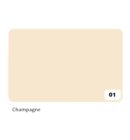 Fotokarton Folia 2-zijdig 50x70cm 300gr nr01 champagne
