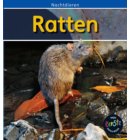 Ratten - Nachtdieren