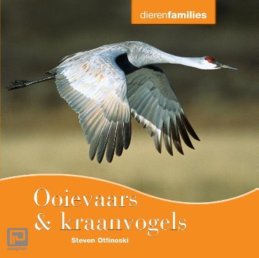 Ooievaars & kraanvogels - Dierenfamilies