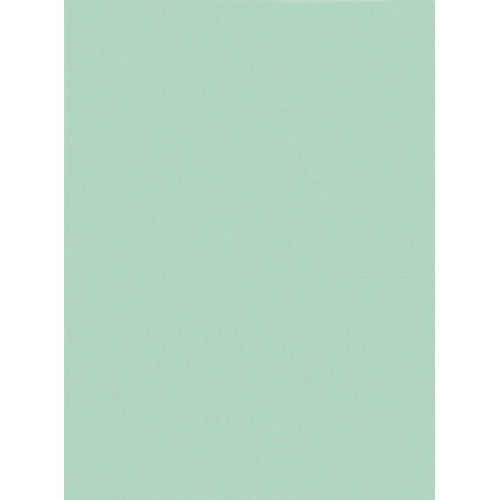 Dossiermap Exacompta Super 160Gr 1Klep Lichtgroen exacompta kopen in de aanbieding