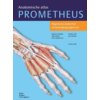 Algemene anatomie en bewegingsapparaat - Prometheus anatomische atlas
