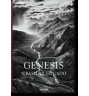 Sebastiao Salgado. Genesis