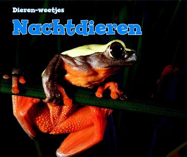 Nachtdieren - Dierenweetjes