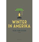 Winter in Amerika