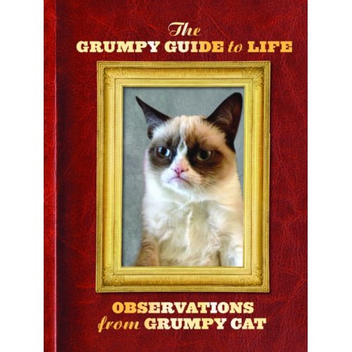 Abramschronicle Grumpy Guide To Life Observations From Cat Chronicle abramschronicle kopen in de aanbieding