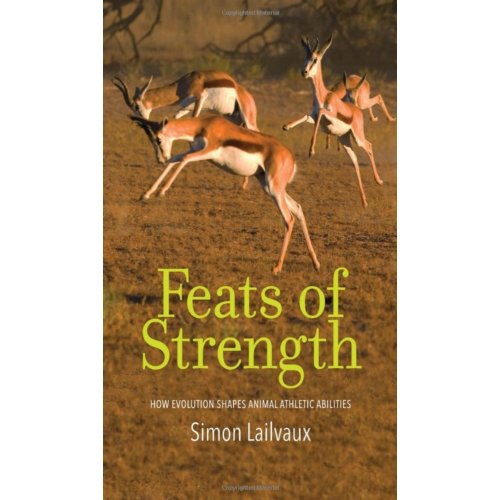 Yale University Pres Feats Of Strength Simon Lailvaux yale university pres kopen in de aanbieding Yale University Pres Feats Of Strength Simon Lailvaux yale university pres kopen in de aanbieding