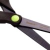 Schaar Scotch 20cm titanium blister