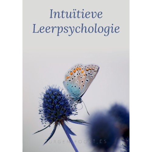 Pumbo.Nl B.V. Intuïtieve Leerpsychologie - Jurgen Foortjes