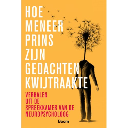 Koninklijke Boom Uitgevers Hoe Meneer Prins Zijn Gedachten Kwijtraakte - Helen Anema