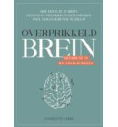 Overprikkeld brein