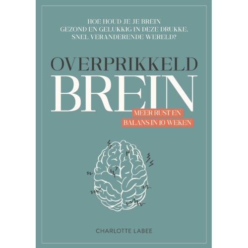 Vbk Media Overprikkeld Brein - Charlotte Labee