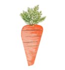 Meri Meri Pasen servetten - Carrot