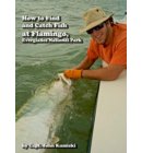 How to Find and Catch Fish at Flamingo, Everglades National Park!
