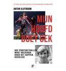 Mijn hoofd doet gek