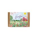 Blossombs giftbox small kleurrijke groetjes